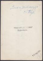 1959 Tiszavölgyi József: Íme egy örökmozgó, könnyűfutást bemutató szerkezet, feliratozott, pecséttel...