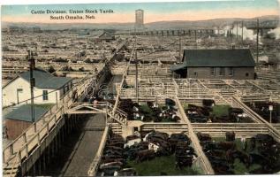 Omaha, South Omaha, Nebraska; Cattle Division, Union Stock Yards (EK)
