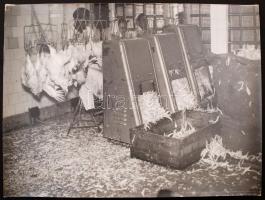 cca 1960 Kopasztó részleg a baromfi feldolgozóban, 30x40 cm