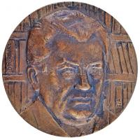 Somogyi Árpád (1926-) 1979. "Darvas József / Az olvasó népért - A Hazafias Népfront 1969-1979" Br plakett (92mm) T:2