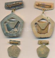 ~1970. "A Vállalat Kiváló Brigádja" kitüntetés miniatűrrel dísztokban + "A Magyar Nép...