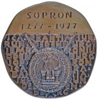 Renner Kálmán (1927-1994) 1977. "Sopron" Br plakett (95mm) T:2 ph