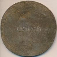 DN "Rembrandt" egyoldalas Br plakett (83mm) T:2