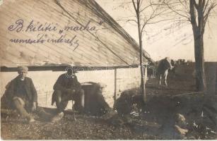 Balatonkiliti, Marhanemesítő Intézet, photo