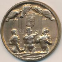 Göröntsér Greff Lajos (1888-1976) 1932. "Magyar Úszó Szövetség" aranyozott Br emlékérem "LUDVIG" gyártói jelzéssel (52mm) T:2