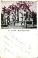 Budapest XIV. Dr. Herczel-féle Fasor Szanatórium (kis szakadás / small tear)