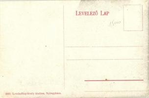 Nyíregyháza, Sóstó-gyógyfürdő megállóhely