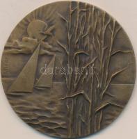 Gáll Gyula (1939-) 1977. "20 éves a Velencei Tavi Intéző Bizottság" Br emlékérem (70mm) T:1-