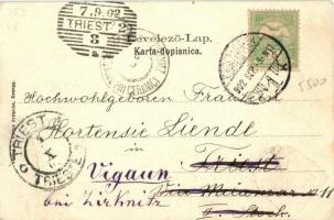 Eszék, Essegg, Osijek; church, shops, coat of arms litho