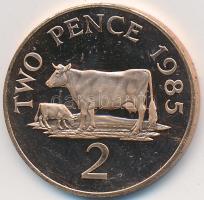 Guernsey 1985. 2p Br T:2 (PP) karc Guernsey 1985 2 Pence Br C:XF (PP) scratch