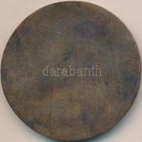 1988. "Nemzetközi Veteránautós Találkozó Budapest" Br emlékérem (65mm) T:2