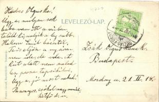 Buziásfürdő, Szent Antal tó, Francz József kiadása / lake, children, collage