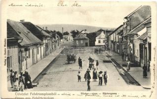 Fehértemplom, Weisskirchen; Bäcker utca / Bäckergasse, Verlag von Gustav Wunder / street