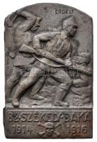 Osztrák-Magyar Monarchia 1916. "82. Székely Gyalogezred - Baka 1914-1916 - Erdély" bronzozott Zn sapkajelvény, függőleges tű, "Arkanzas Gesch" gyártói jelzéssel (42x28mm) T:2 bronzozás lekopott Austro-Hungarian Monarchy 1916. "82nd Székely Infantry Regiment - Baka 1914-1916 - Transylvania" bronze plated Zn cap badge, vertical pin, with "Arkanzas Gesch" makers mark (42x28mm) C:XF bronze plating worn