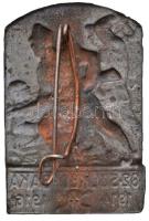 Osztrák-Magyar Monarchia 1916. "82. Székely Gyalogezred - Baka 1914-1916 - Erdély" bronzoz...