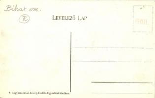 Nagyszalonta látképe 1885-ben; a nagyszalontai Arany-Emlék-Egyesület kiadása / anno 1885