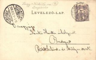 Segesvár, Schässburg; von der Stila / Steilau aus gesehen, Verlag von H. G. Roth