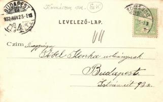 Komárom, Selyemgyár; kiadja Freisinger Mór / silk factory