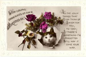 Birthday greeting, cat, Emb.