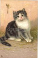 Cat, Raphael Tuck Art series 6767 litho