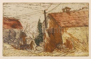 Linde Waber(1940-): Vidéki ház. Színezett rézkarc, papír, jelzett, üvegezett keretben, 29x20 cm
