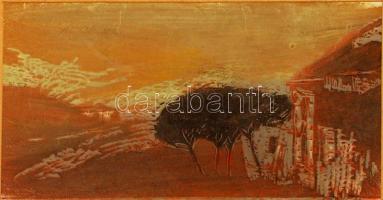 Linde Waber(1940-): Magányos ház. Színezett fametszet, papír, jelzett, üvegezett keretben, 42x30 cm