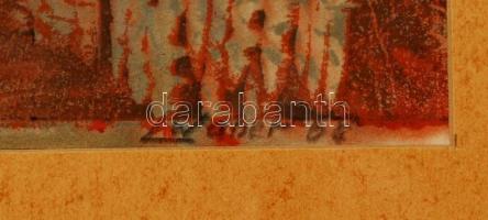 Linde Waber(1940-): Magányos ház. Színezett fametszet, papír, jelzett, üvegezett keretben, 42x30 cm