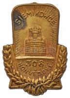 Osztrák-Magyar Monarchia ~1914-1918. "308. Honvéd Gyalogezred - Siemikowce" tombak sapkajelvény, függőleges tűvel (37x27mm) T:2 Austro-Hungarian Monarchy ~1914-1918. "308th Honvéd Infantry Regiment - Siemikowce" tombac cap badge with vertical pin (37x27mm) C:XF