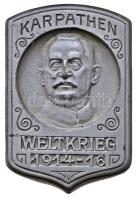 Osztrák-Magyar Monarchia 1916. "Linsingen vezérezredes - Kárpátok" cink sapkajelvény (39x26mm) T:2 Austro-Hungarian Monarchy 1916. "Linsingen Colonel General - Karpathen Weltkrieg 1914-16" zin cap badge (39x26) C:XF