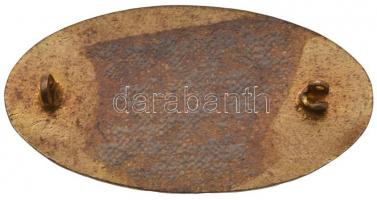 Osztrák-Magyar Monarchia / Német Birodalom 1915. "Harc a győzelemért" zománcozott fém prop...