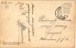 Gyergyószentmiklós, Szilágyi szálloda, járásbíróság, leánynevelő intézet; Ambrus fotó / hotel, court...