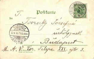 Leipzig 'die elektrische Bahn kommt!' busy street scene, humour, litho