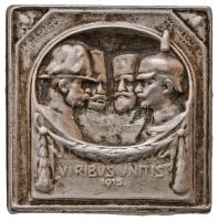 Osztrák-Magyar Monarchia 1915. "Ferenc József, V. Mehmed, II. Vilmos, I. Ferdinánd - Viribus Unitis 1915" dombornyomású fém patrióta jelvény (33x33mm) T:2-,3 egyik kampó letört Austro-Hungarian Monarchy 1915. "Franz Joseph, Mehmed V, Wilhelm II, Ferdinand I - Viribus Unitis 1915" metal relief patriotic badge (33x33mm) C:VF,F one of the loops is broken
