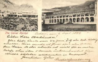 1899 Aden, Camel market, hotel (EK)