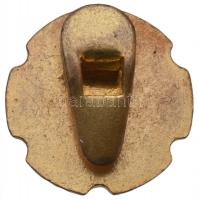 Osztrák-Magyar Monarchia ~1914-1918. Zománcozott fém patrióta gomblyukjelvény, a központi hatalmak z...