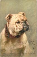 Bulldog, artist signed