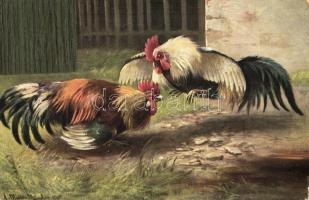 8 db RÉGI szignós motívumlap; állat (kakas, pulyka) / 8 old artist signed motive cards; animal, roos...