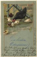 8 db RÉGI motívumlap pár lithoval; állat (kakas, csirke, pulyka) / 8 old motive cards; animal, rooster, turkey, chicken