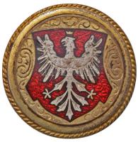 Lengyelország DN Zománcozott címer jelvény (24mm) T:2 Poland ND Enamelled coat of arms badge (24mm) C:XF