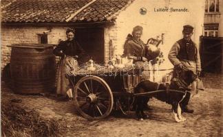 Flemish dairy, dog cart, folklore