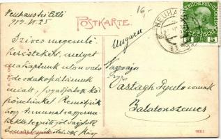 Novi grad, Bad Neuhaus bei Cilli; Gasthaus Schemmerl / hotel