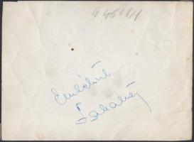 1954 A magyar Aranycsapat fotója, hátoldalt Zakariás József saját kezű aláírásával. Gyűrött. / Photo...