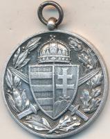 1929. "Magyar Háborús Emlékérem kardokkal, sisakkal" ezüstözött bronz kitüntetés, peremen ...