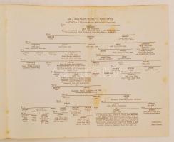 Károlyi László: A Nagy-Károlyi gróf Károlyi család összes jószágainak birtoklási története. 2. kötet...