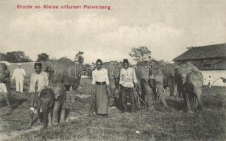 Palembang, Groote en Kleine olifanten / elephants, Indonesian folklore