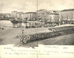 Fiume, Riva Szapáry / port, steamships, folding card (bent til broken)