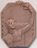 DN "Műegyetemi Athletikai és Football Club Versenydíja" Br díjérem. Szign.: Dertel-Berlin (34x26mm) T:2,2- karc