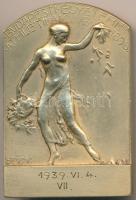 Sződy Szilárd (1878-1939) 1939. "Budapesti Egyetemi Athlétikai Club 1898" Br plakett (46,5x70mm) T:2,2- hátlapján gipsz