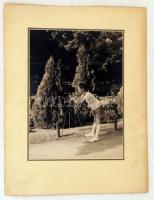 cca 1930 Friedl: Fényképező fiú, kartonra kasírozott jelzetlen művészfotó, 17x23 cm