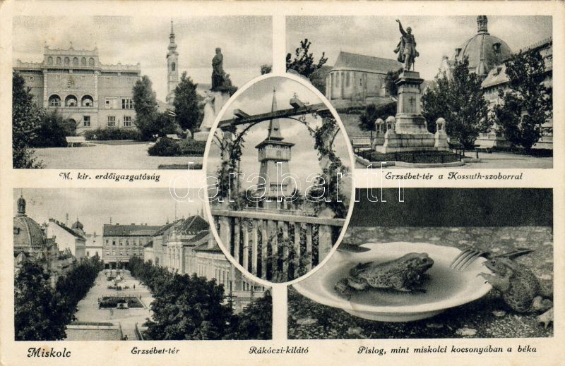 Miskolc, Erdőigazgatóság, Erzsébet tér, Kossuth szobor, Rákóczi kilátó, béka